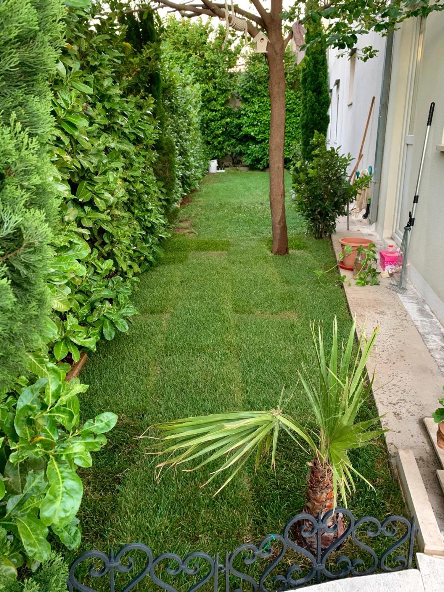 Apartman Filipovic Makarska Exteriör bild